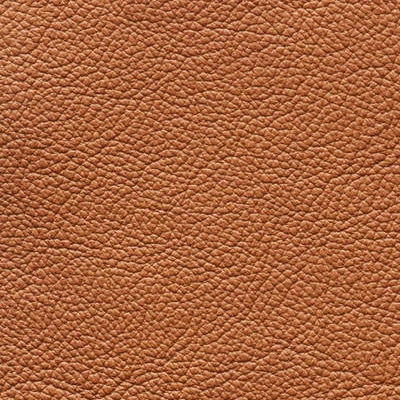 Palomanew cognac